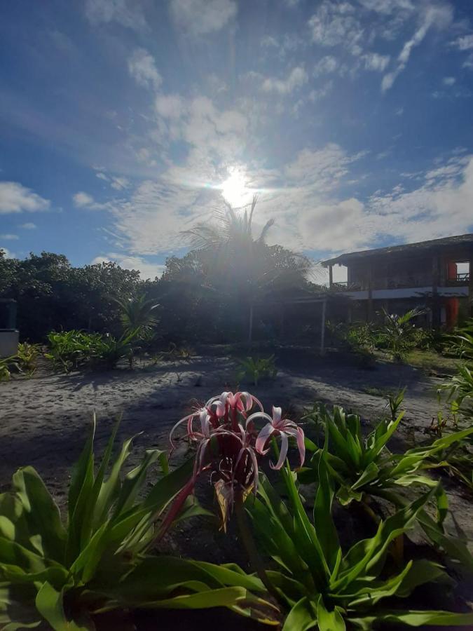 Seaside Garden Ecolodge Mompiche Exterior photo