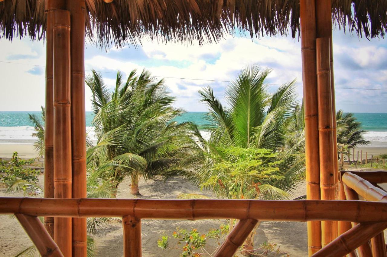Seaside Garden Ecolodge Mompiche Exterior photo